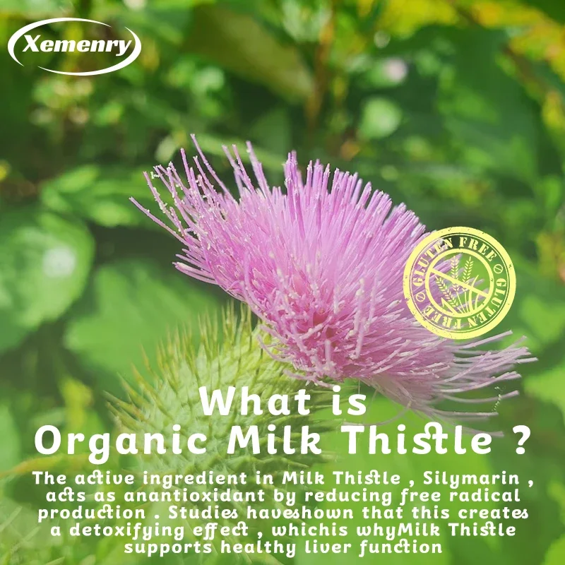 كبسولات شوك الحليب 1000 ملغ -  - مراجعة Milk Thistle Silymarin وسعره