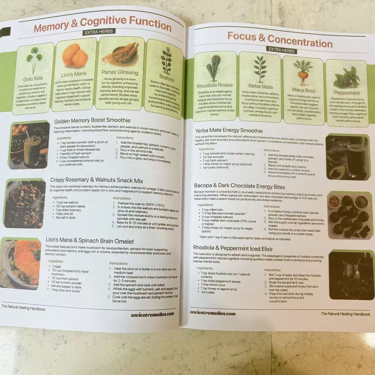 دليل الشفاء الطبيعي |   دليل ا - مراجعة Herbal Wellness Guide وسعره