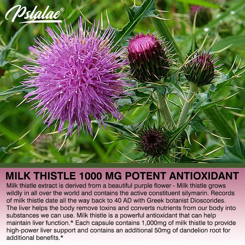 مكمل شوك الحليب الطبيعي - جذر  - مراجعة Milk Thistle Silymarin وسعره