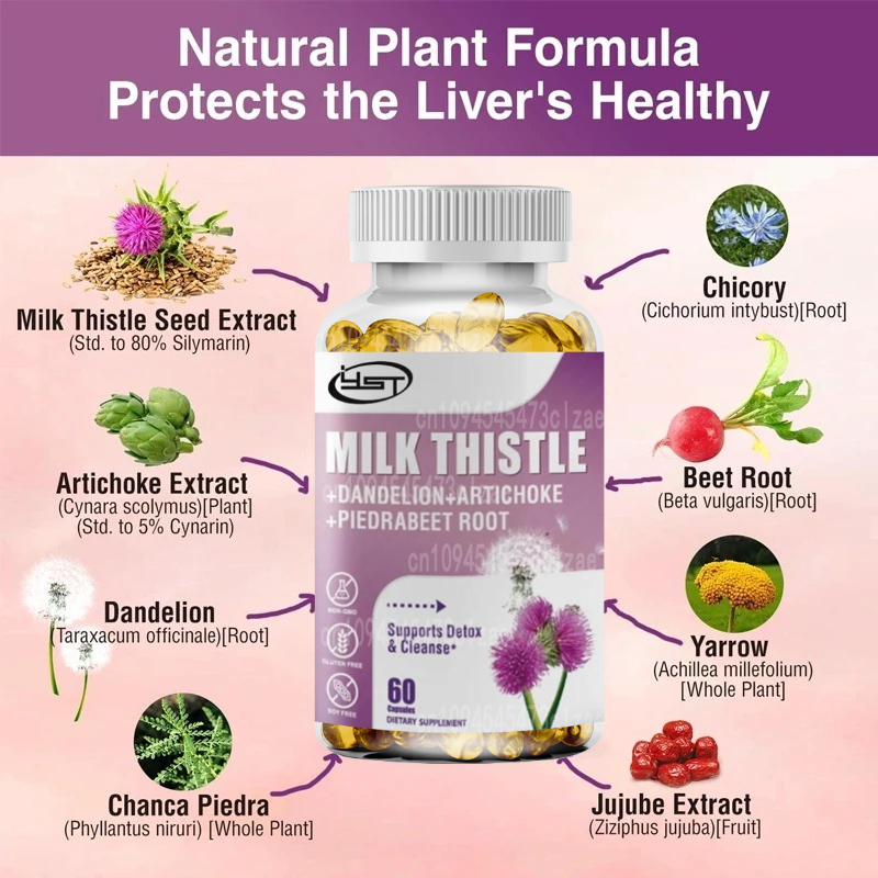 مكمل شوك الحليب يحتوي على جذور - مراجعة Milk Thistle Silymarin وسعره
